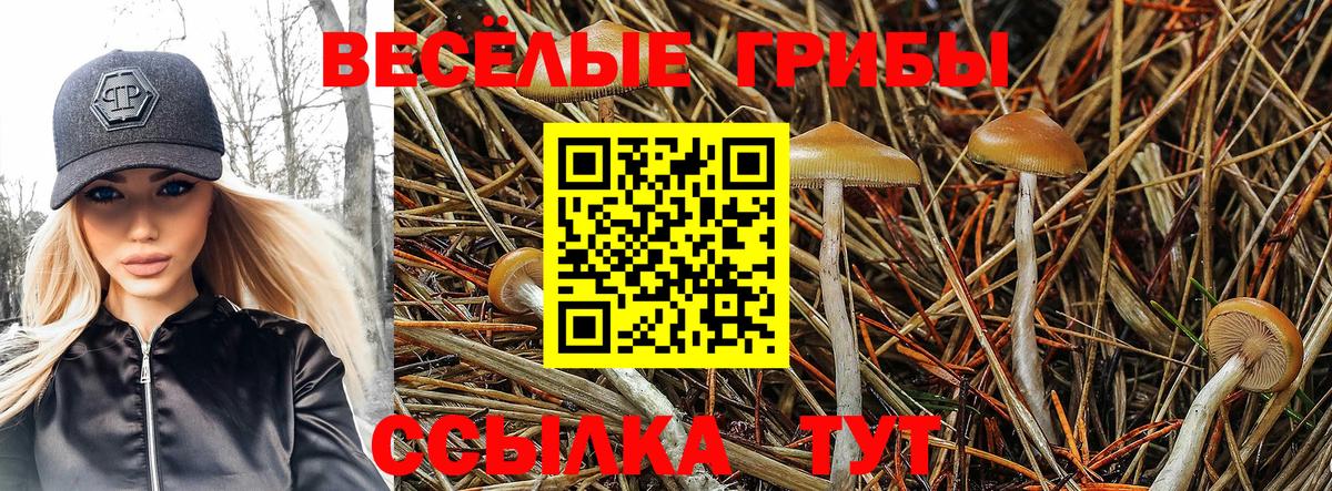 Псилоцибиновые грибы Psilocybine cubensis Уварово